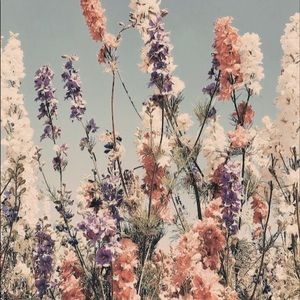 Meet your Posher, Alicia